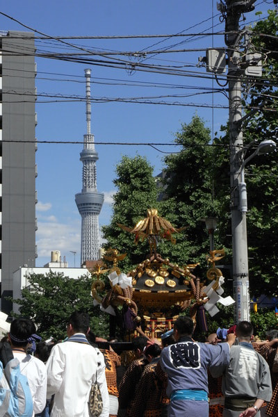 RIMG0059三社祭.JPG